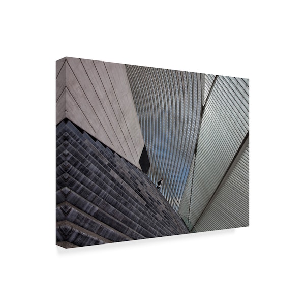 Yvette Depaepe 'Lia Ge Guillemins' Canvas Art,14x19